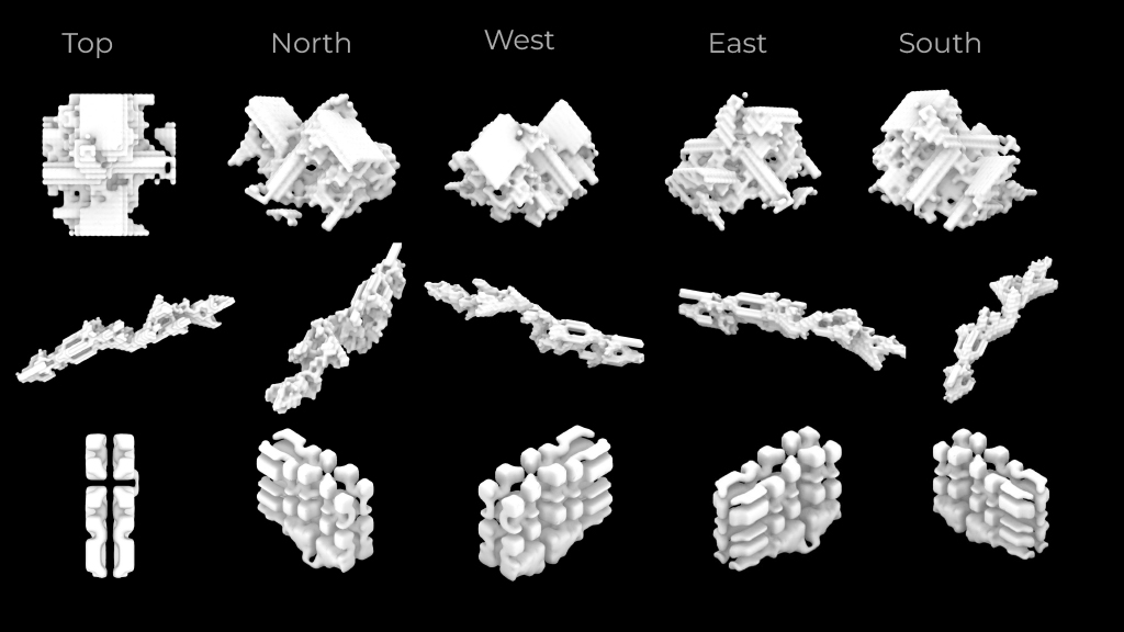 Generative structure viewed from multiple orientations