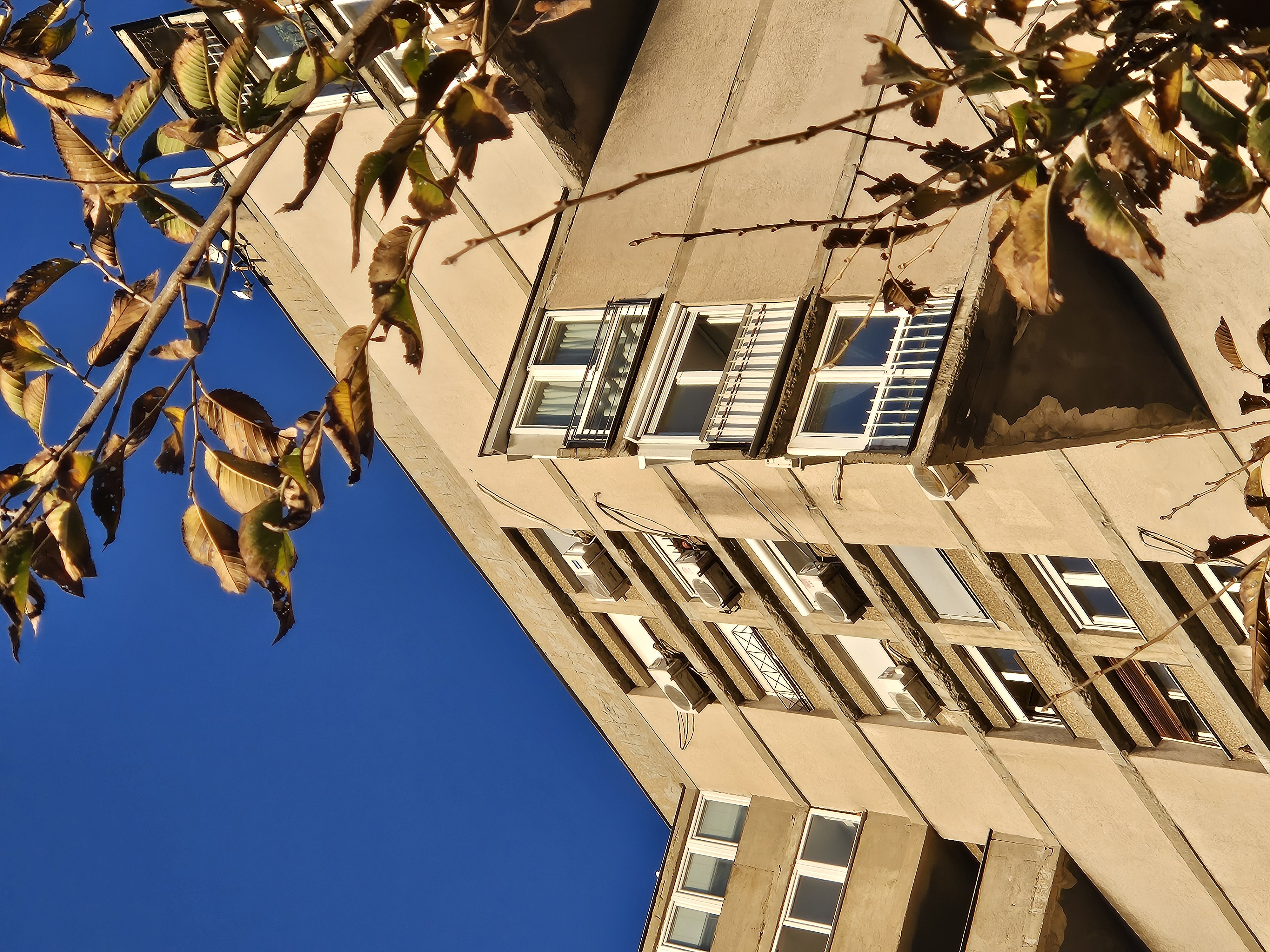 Facade Detail